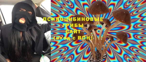 мяу мяу мука Няндома