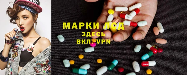 мяу мяу мука Няндома