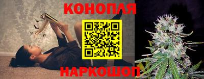 spice Волгодонск