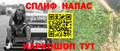 спиды Будённовск