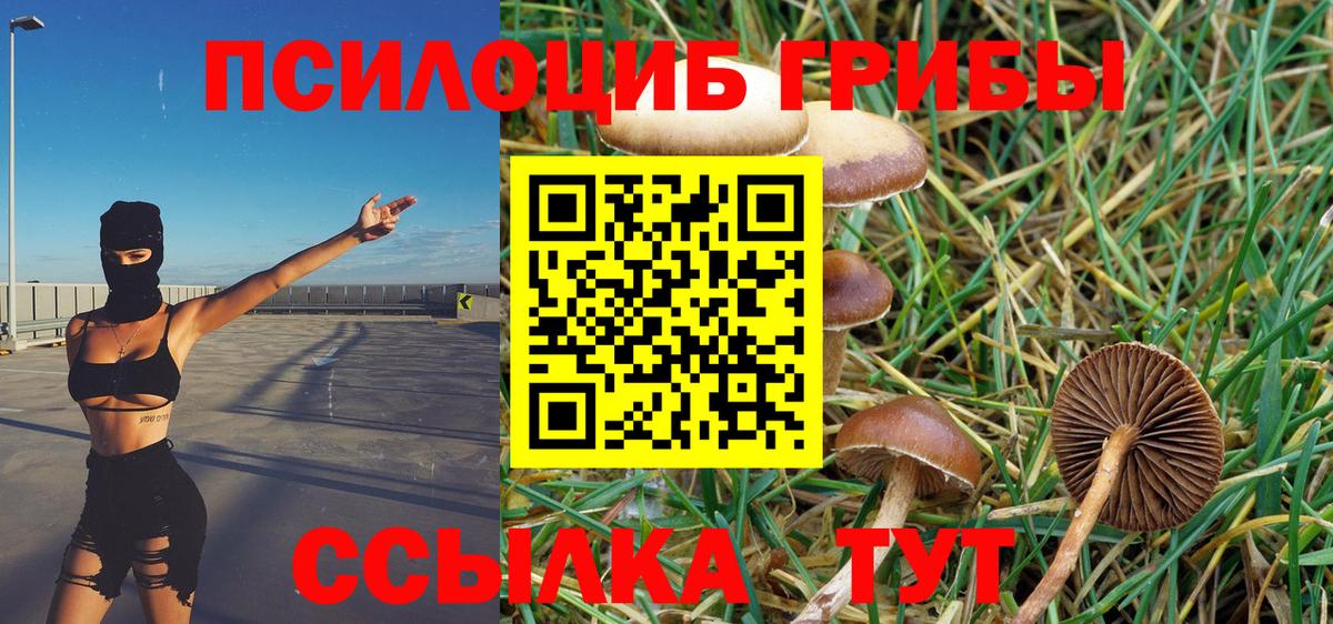 Галлюциногенные грибы Magic Shrooms Волжск