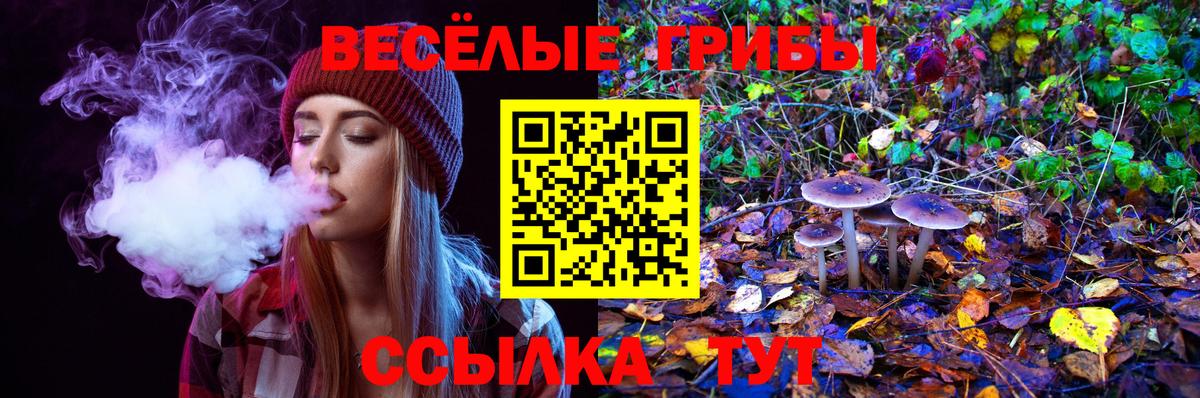 Галлюциногенные грибы ЛСД Волжск