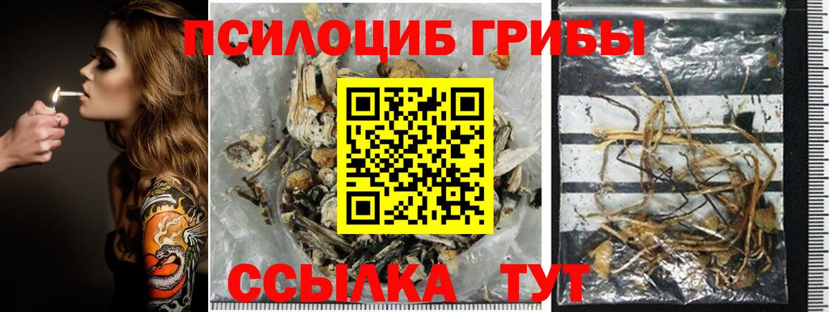 где купить наркоту  Волжск  Галлюциногенные грибы мухоморы 