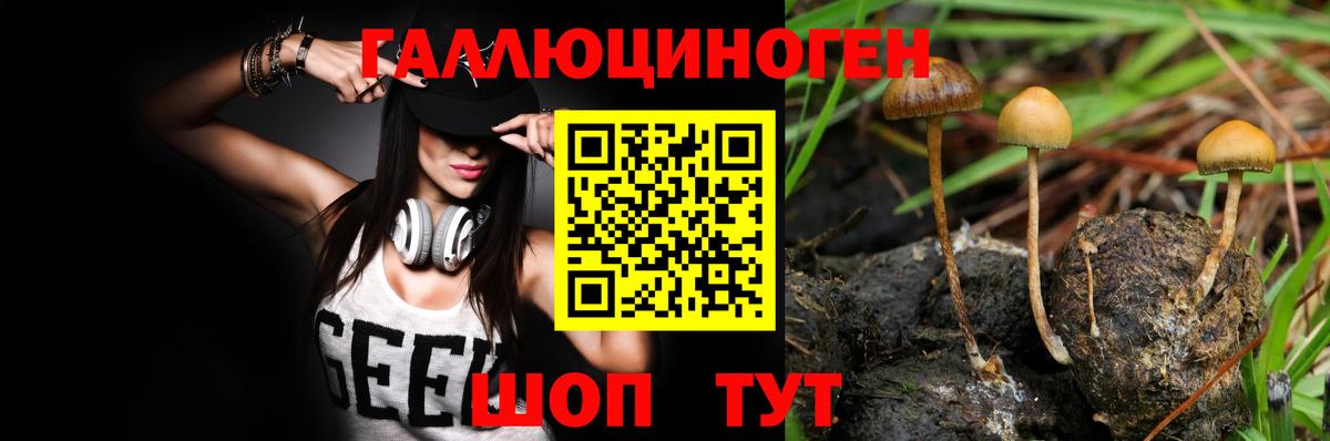 купить закладку  Вход с VPN  Волжск  Галлюциногенные грибы GOLDEN TEACHER 