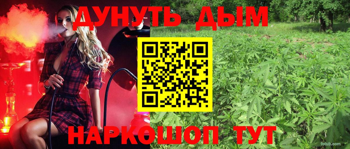 Каннабис план Волжск